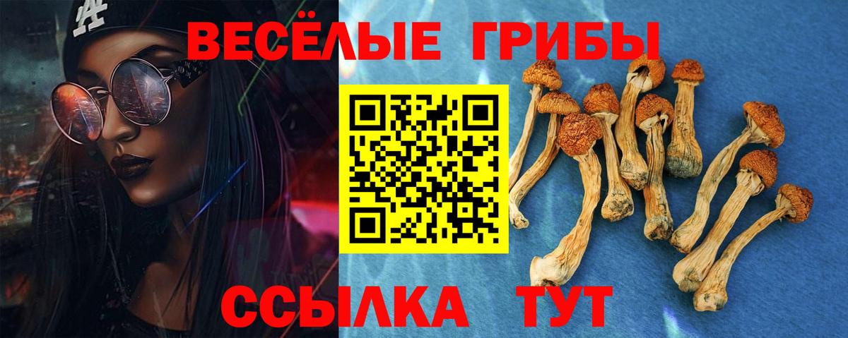 Псилоцибиновые грибы MAGIC MUSHROOMS Южно-Сахалинск